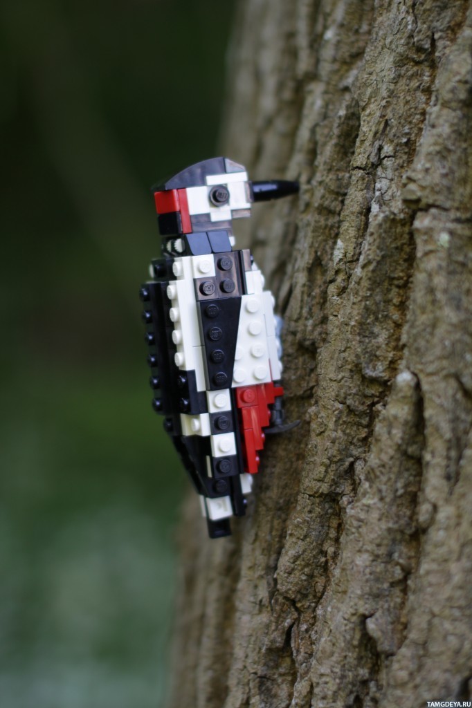 59dfc3429f54a_ptica_Lego_dyatel_6319.jpg