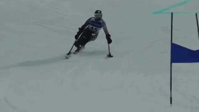 59f64e03d8078_monoski2.gif