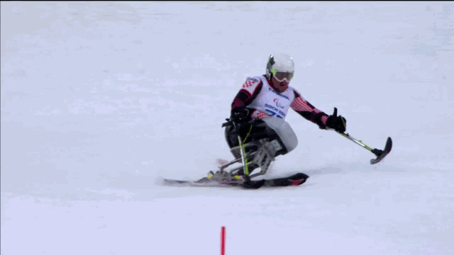 59f64e7215191_monoski.gif