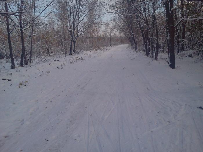 581f01bd05791_0081.jpg