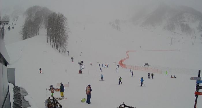 58ce8176dce7a_20170319_1300__1600.jpg