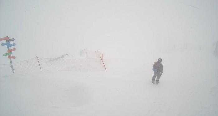 58d008774676b_20170320_1200__2320.jpg