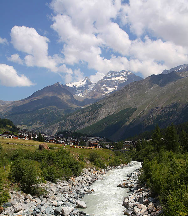 526956ad5c019_IMG_2238.jpg