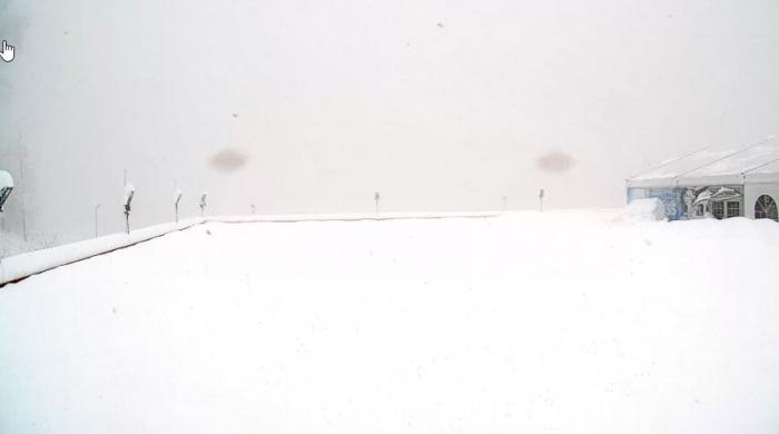5e3d2fa91fcfe_1100.jpg