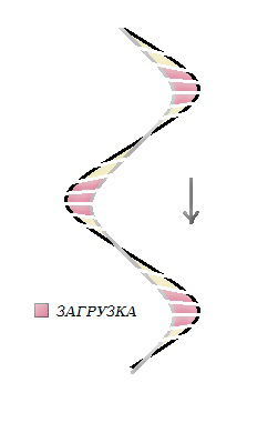 530673ae1a051_turn7.jpg
