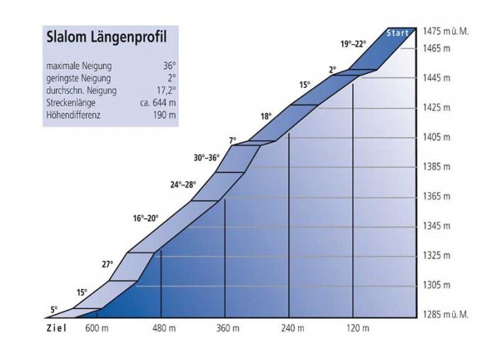 57f53dfd11a0e_1profil_Slalom_wengen.jpg