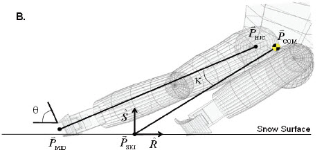 5883aabe540b4_ReidPhD.jpg