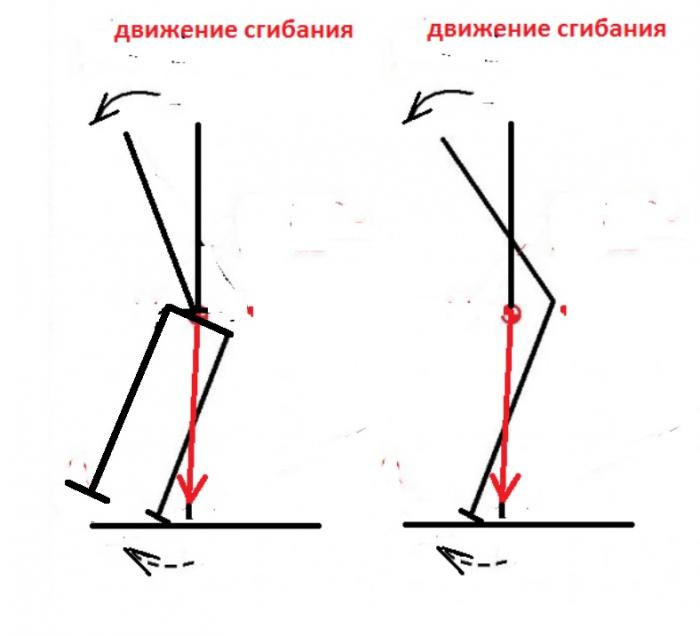 6470c36fb552d_.jpg