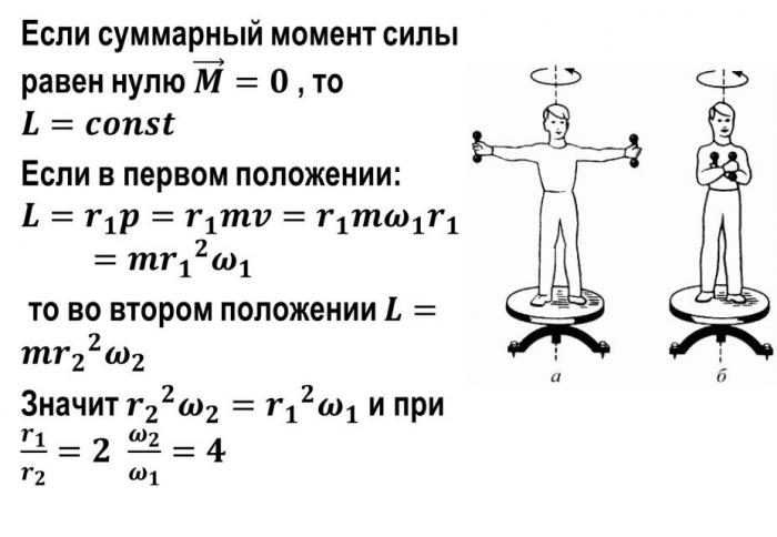 5cd88b479bee9_htmlconvdamg5ji22x1.jpg