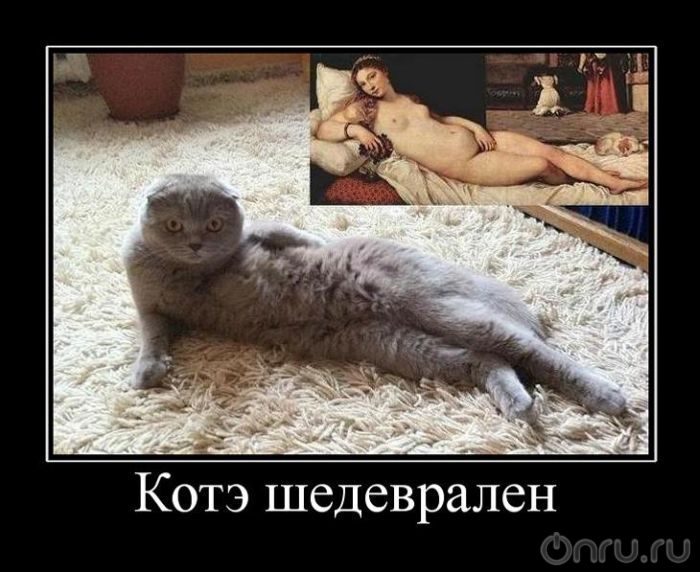 5374b9e7b582a_lecdxf.jpg