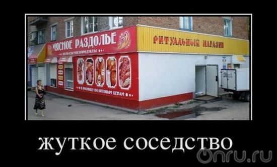 538845b7da441_.jpg