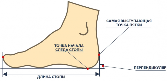 613f02b8f1828_2.png