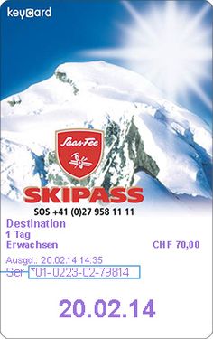 5c3a04b8beedf_saasfeeski.jpg