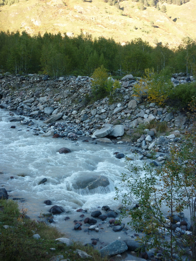 68c903166a6cf_P1080360.jpg