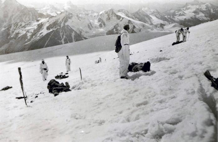 6a741feb65fd2_sm.jpg