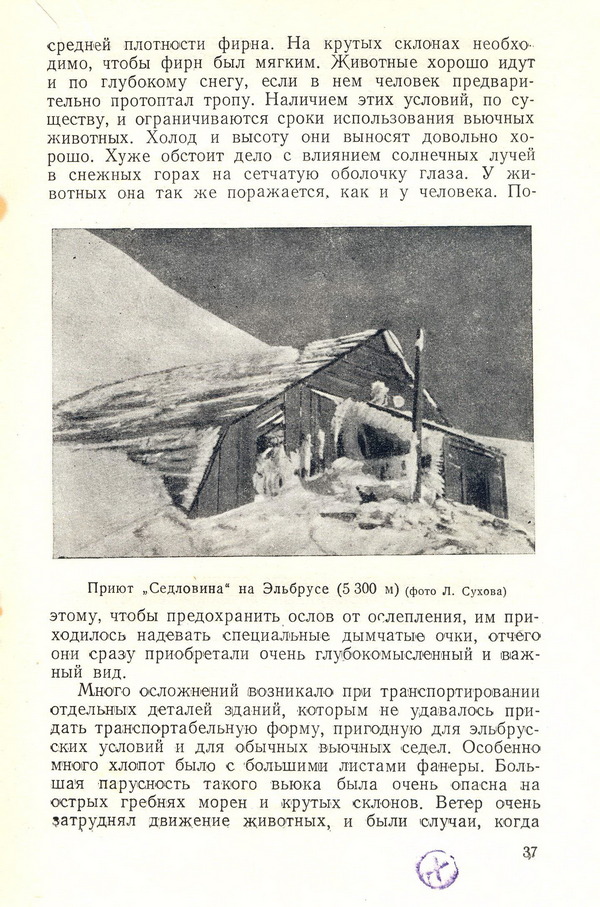 6a885ffac580a_prijutsedlovina_19331959_3