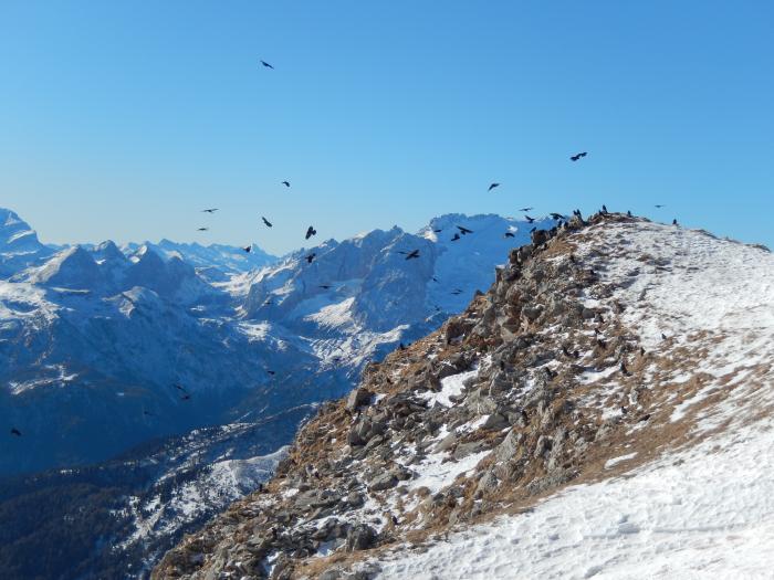 5891b04ec7461_Dolomiti2017058.jpg