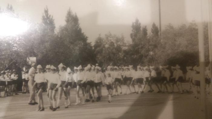 5a6e06a22aff5_198022.jpg