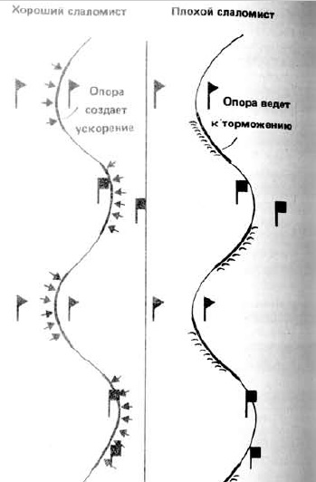 5db48d13b3c28_1.jpg