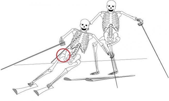 Прямо на скелет. Скелет на лыжах. Скелет горнолыжник. Скелет мухи.