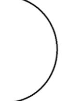 6a1968993582d_2.jpg