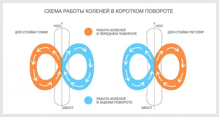 61e2a72a7a8d5_shemakorotkogopovorotanasn