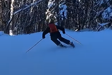 6399ad5594798_alp_skiing_scissors.png
