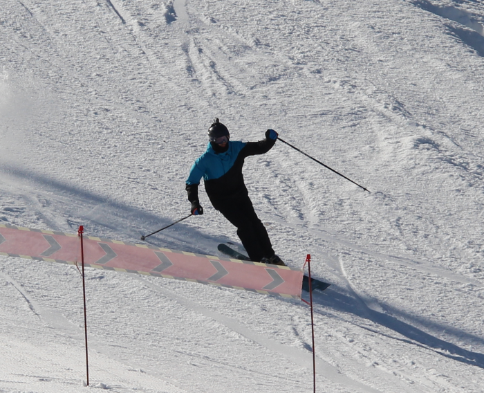 639dbbc59b1d0_alp_ski_back_seat_1.png