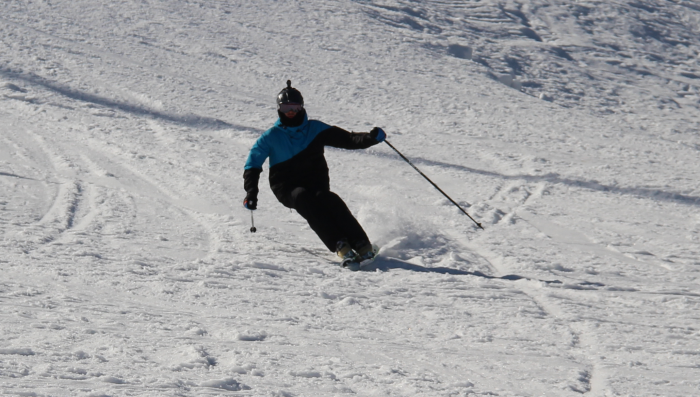 639dbbee11a1c_alp_ski_back_seat_3.png