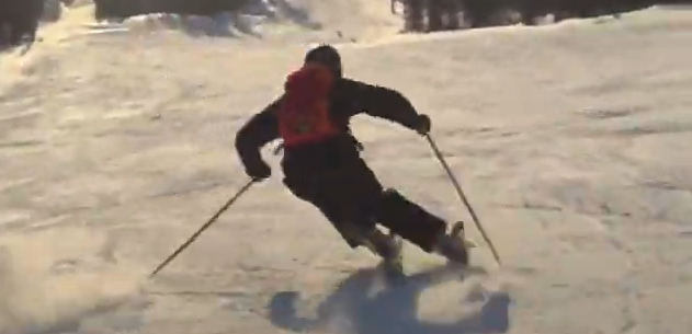 639deaf08a689_alp_skiing_transfer_1.png