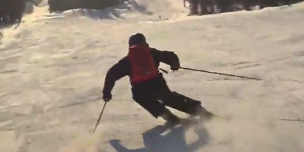 639deb02d53d4_alp_skiing_transfer_2.png