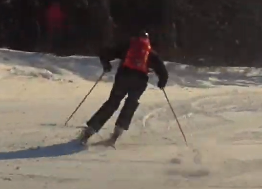 639deb446834d_alp_skiing_transfer_8.png