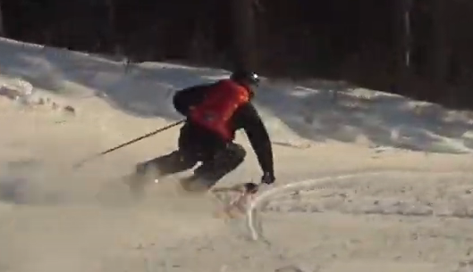 639deb736e31f_alp_skiing_transfer_11.png