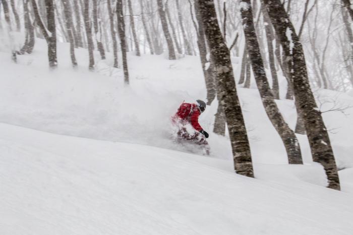 67d49d5ff3d64_kodamalodgeskisnowboard321