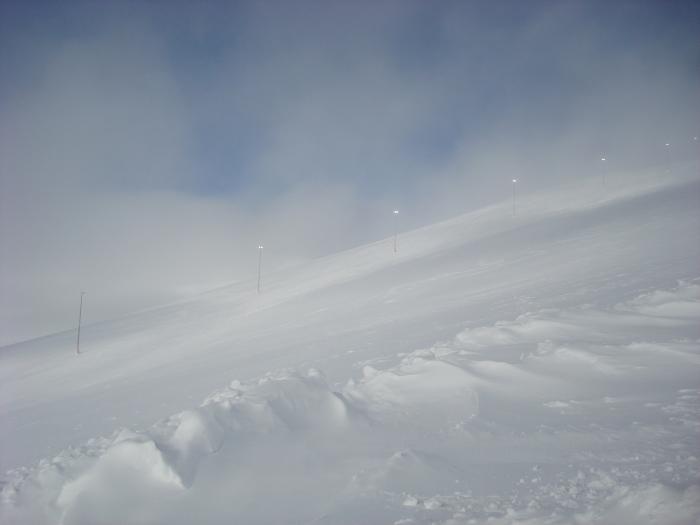 643978e7e8544_DSC00613.jpg