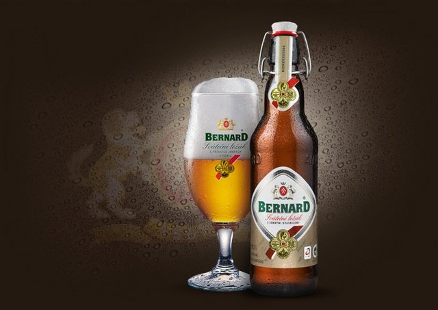 5e42d6380bfb2_pivobernard.jpg