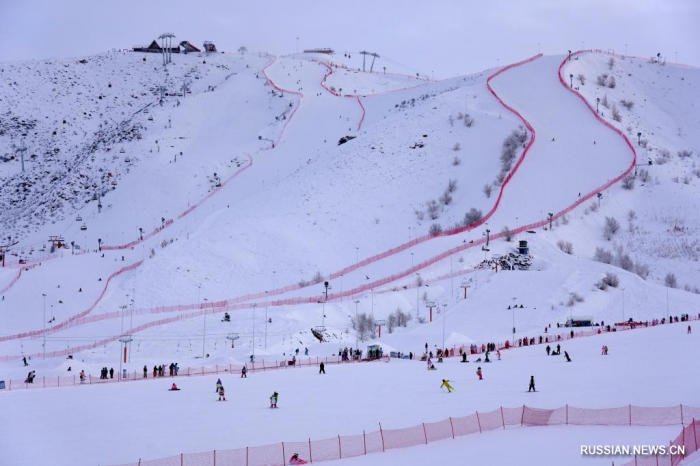 697a042d55499_20240101a04351ddbc5a4d4bad