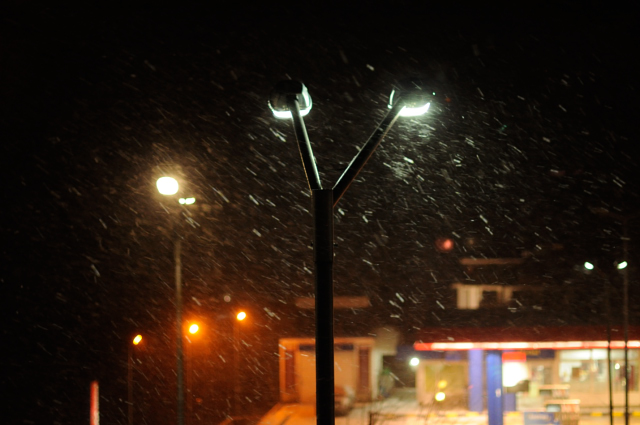 56b451bf49b38_DSC_9773.jpg