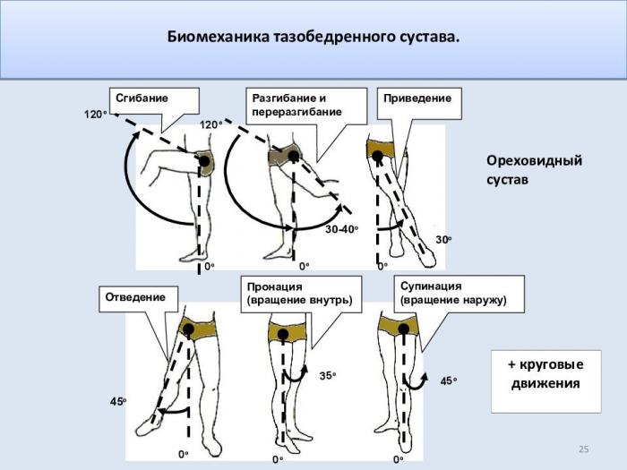 60b4c53deb9f5_tbs.jpg