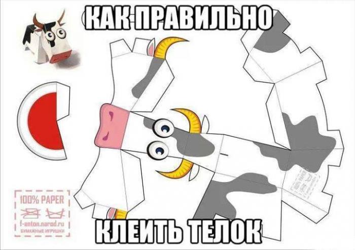5628e6f33a34c_12112100_1072468729430471_