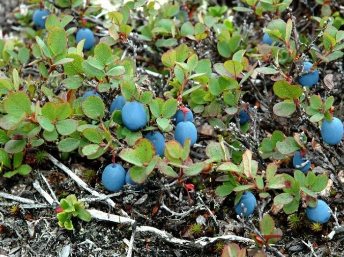 693738da043d9_1780afc103d5f8629cf1703ef6