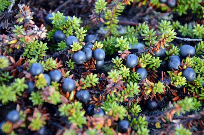 6937471dba5f4_447d4fb065ab80711146c65be1