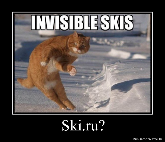 535b403c27719_9277587.png