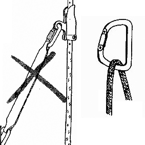 551d91bc49917_1.jpg