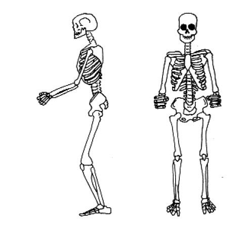 56c31c1aa15b6_s02.jpg