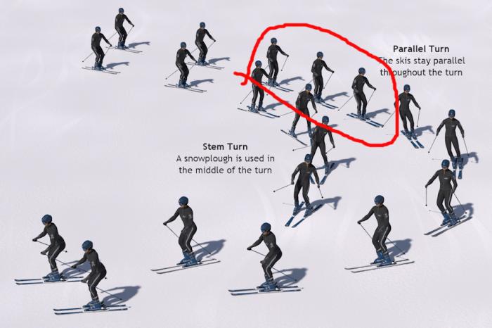 5bc0892d2ce9b_parallelstemcomparison.jpg