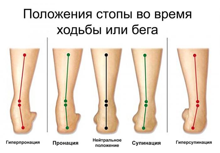 6033ebd990b56_AnkleSupinationandPronatio