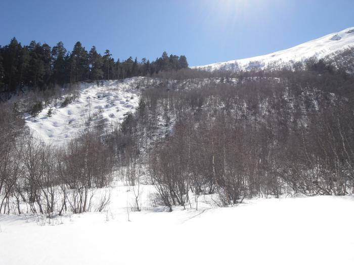 67dff56042582_CIMG0452.jpg