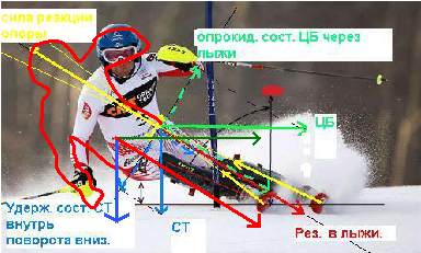 527a43b5b62e6_Ski2.png