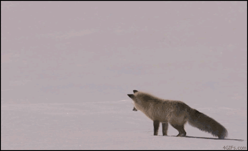 5e0701e153aba_1287353426396.gif
